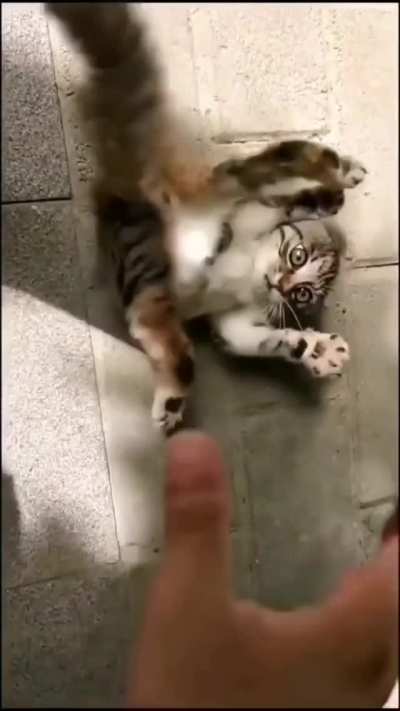 Here comes the tickle monster