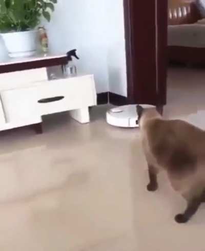 Never saw it coming