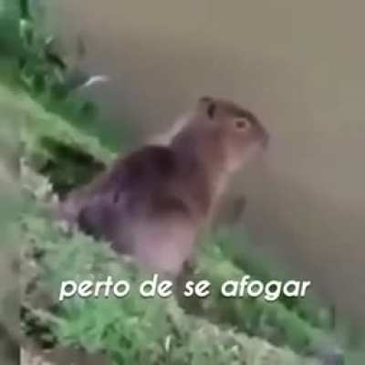 um clássico ki cao estranho