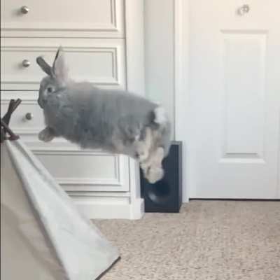 Slow motion binkies are the best kind of binkies!