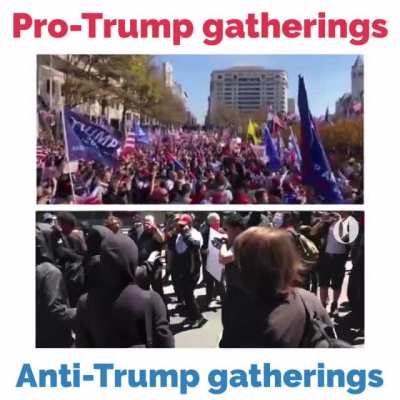 Pro-Trump ❤️ vs Anti-Trump ⚔️