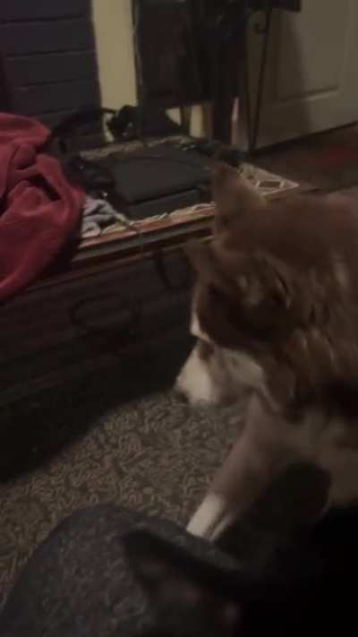 Source of his tantrum at the end… wait for it…