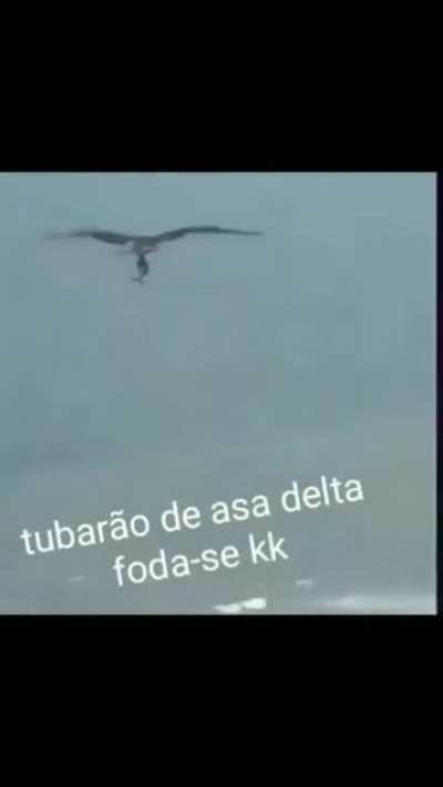 Tubar&atilde;o de asa-delta kkkkkkkkkkk