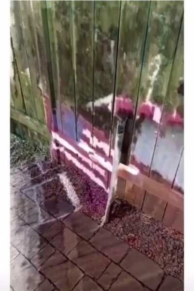trippy shit