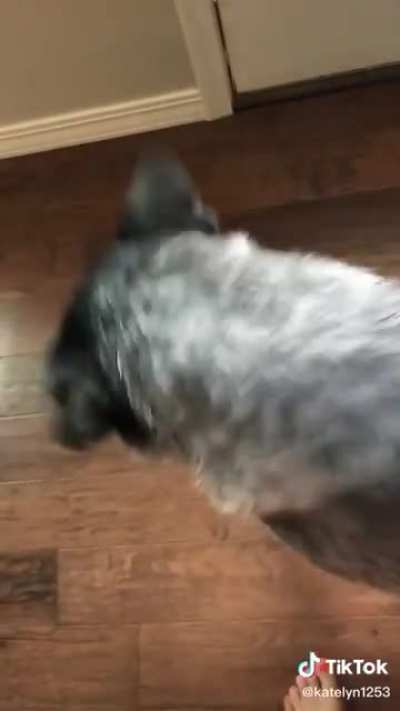 The wiggle 😫😫🥺
