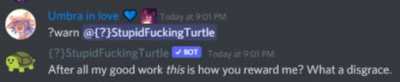 The turtle is mad