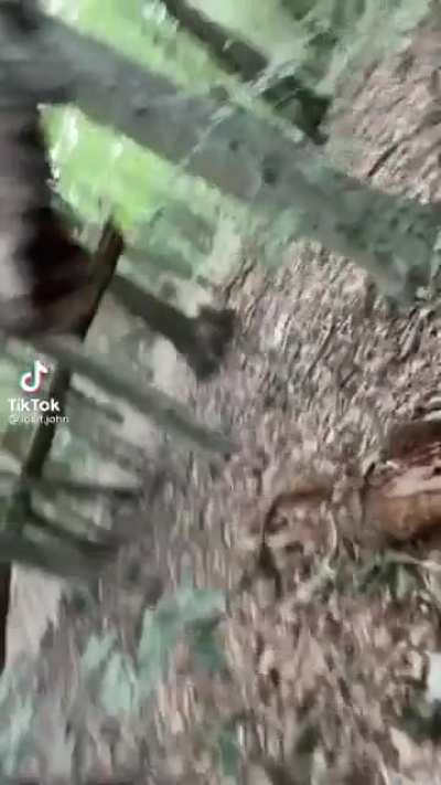 Hmm