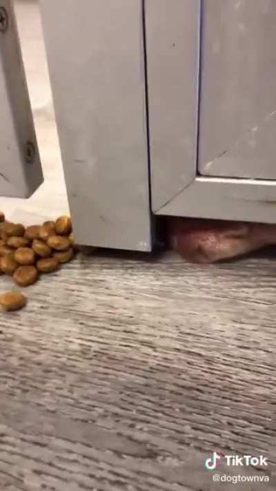 He&rsquo;s hungry