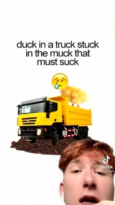 FU