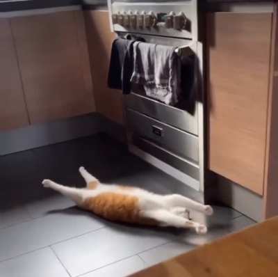 Stretch Life