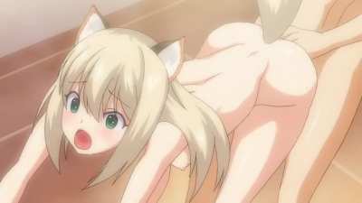 niizuma-koyomi