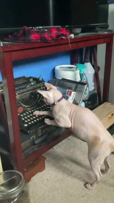 He’s always loved playing with typewriter