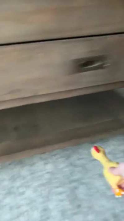 CHICKEN NO!
