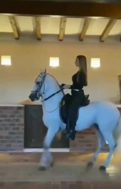 Horse - Tap Dancing Happy Feet