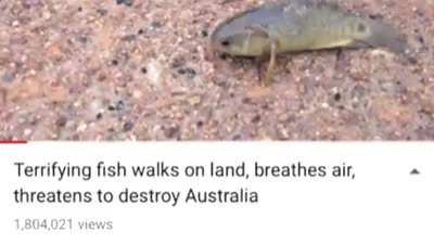 Oh no