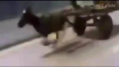 VTEC donkey