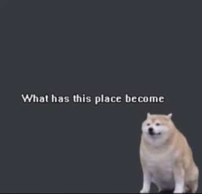 I miss 195. This sub is just becoming dankmemes