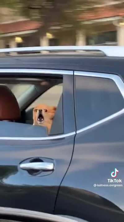 living his best life