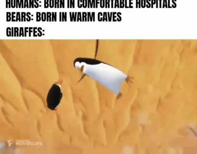 Weeeeeeeee