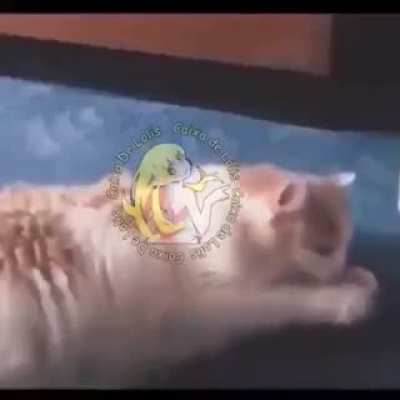 Kkkkkk