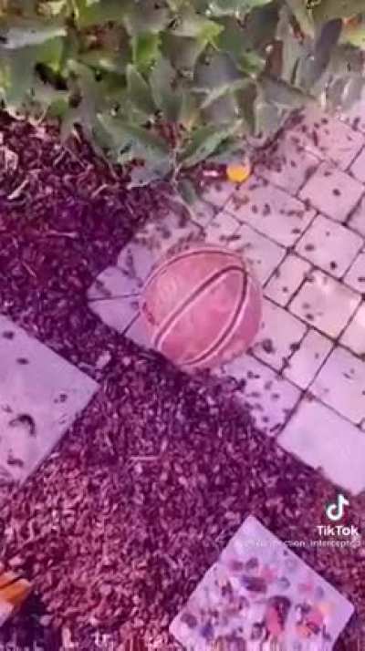 Confusi&oacute;n