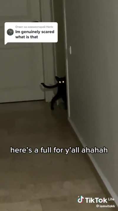 Gatoti
