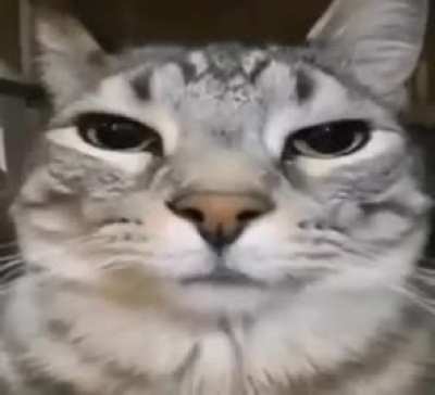 Оk