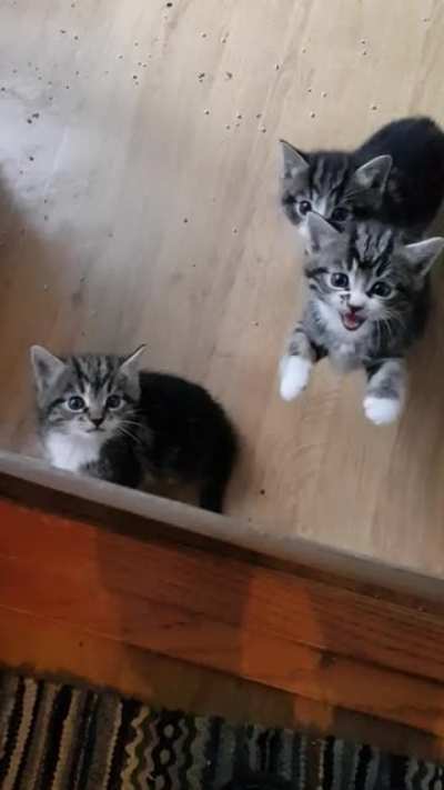 Sextuplets behind bars