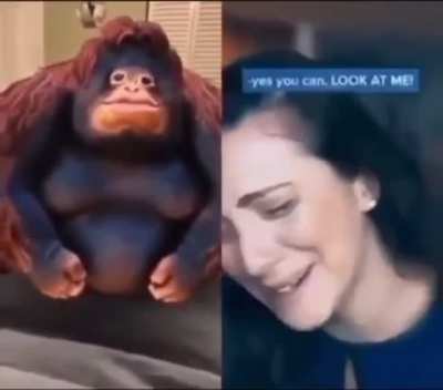 Monkie