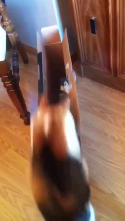 Потому, что кто то слишком много ест