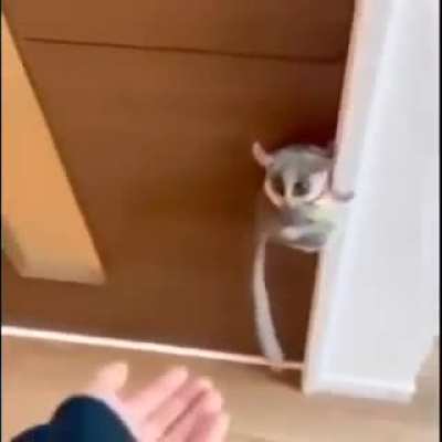 Cute