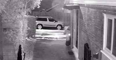 Trying to get into your house on a cold day.