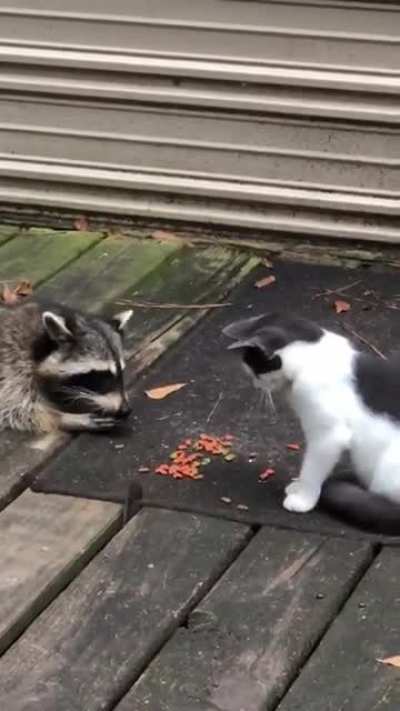 To Steal Snacks