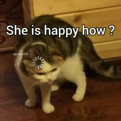 Cat u