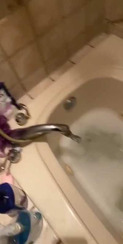 Bath Time