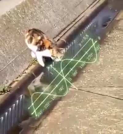 Arduous task