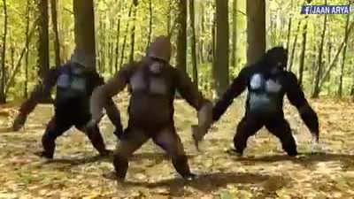 MONOS JAJAJAJJAJA