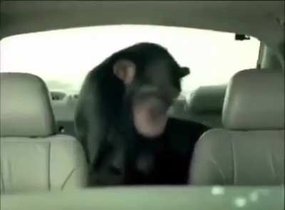monke