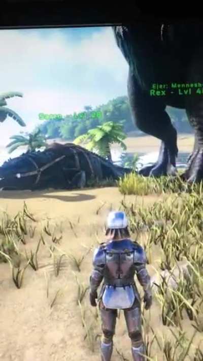 Didn&rsquo;t know a Rex could just wake up like that but ok