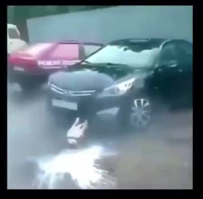 dog got exploded