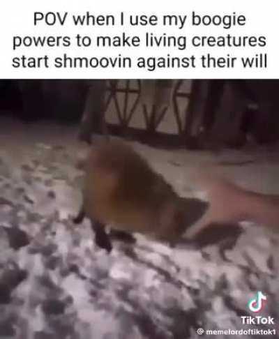 Moldy shmoovin