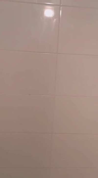 Trying to get a dildo to stick to the wall