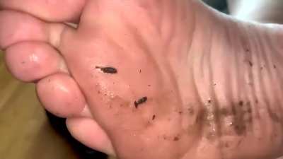 Sweatiest crocs soles 
