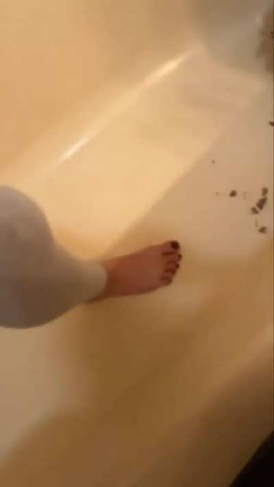 Barefoot crush 
