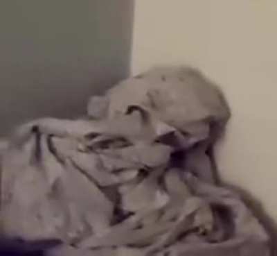 That’s enough laundry for today