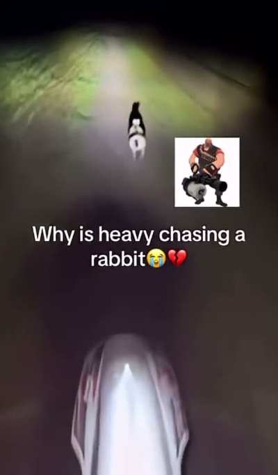 Heavy Weapons guy chasing a rabbit