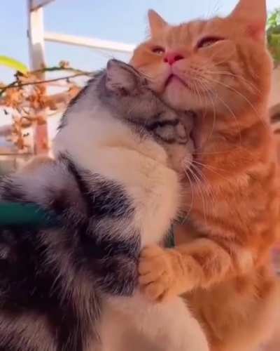What is love?