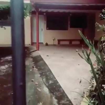 Vc foi avisado
