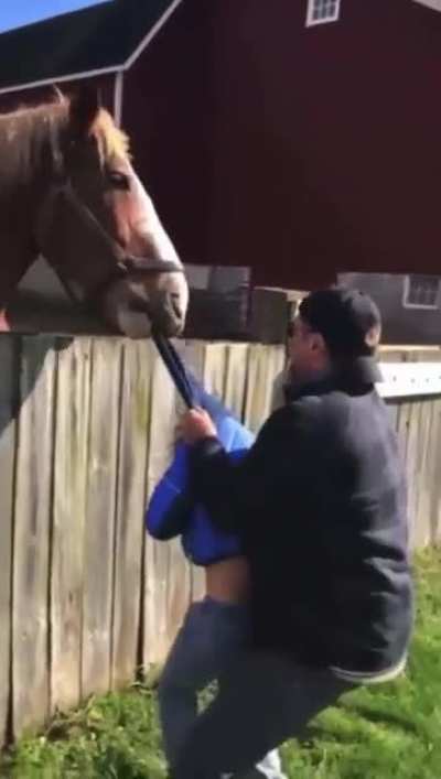 Horsin‘ around