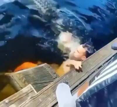 Just a relaxing swim?